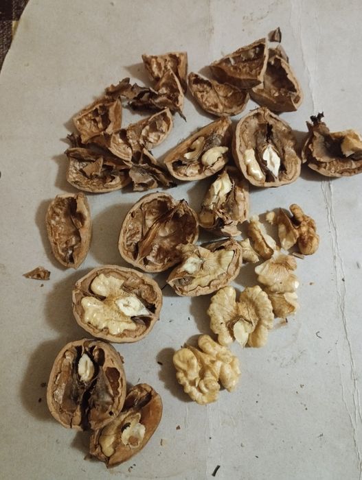 Продам горіхи волоські