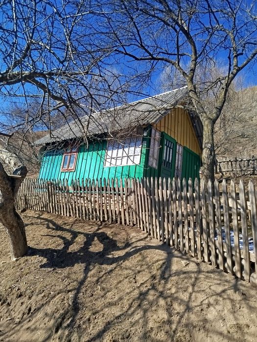 Будинок, земля, господарство в Карпатах, струмок, гори, краєвиди