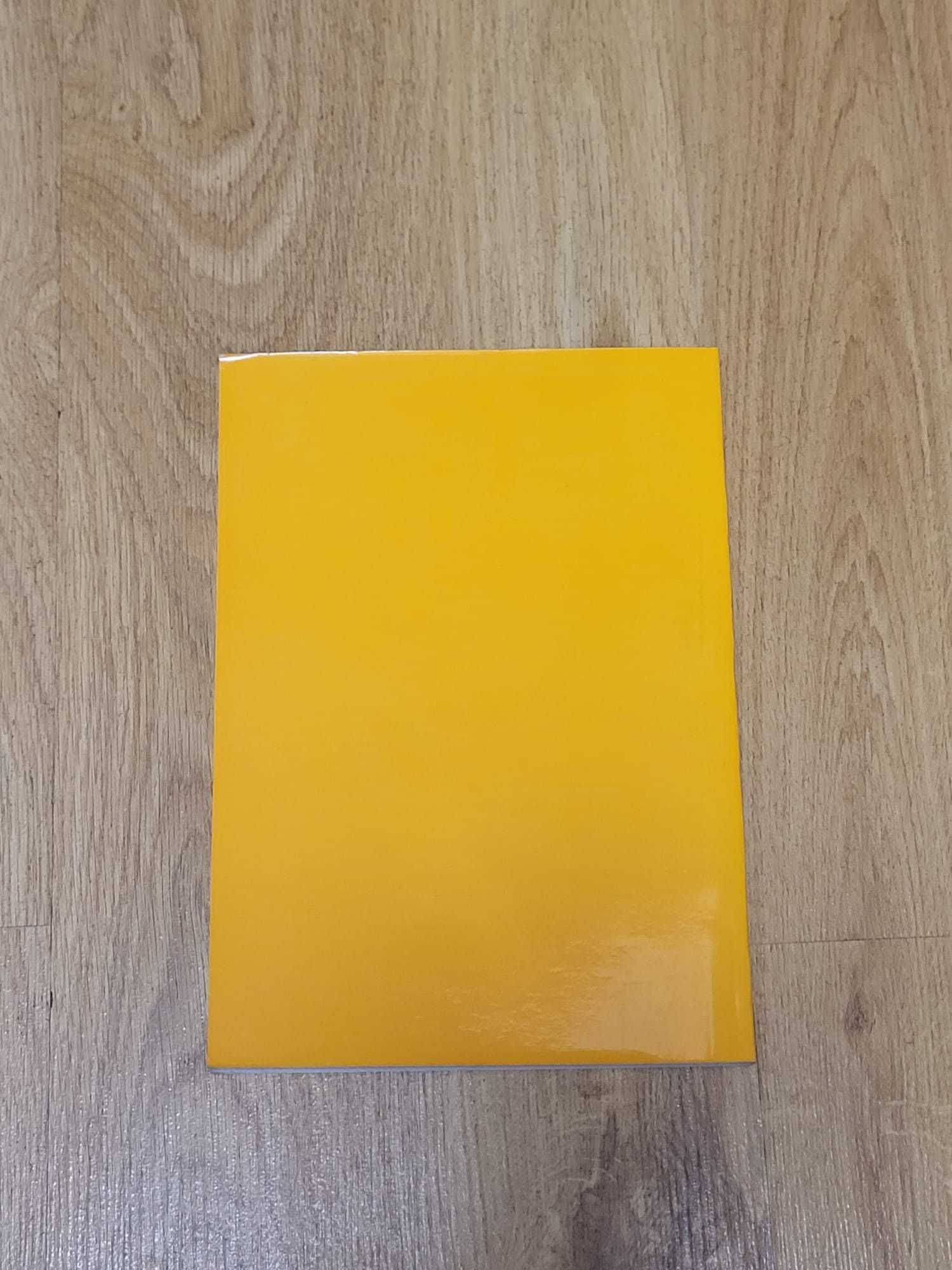 Wielka księga refleksologii Marquardt