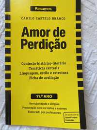 Livro Resumo Amor de Perdição