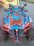 can-am renegade 800