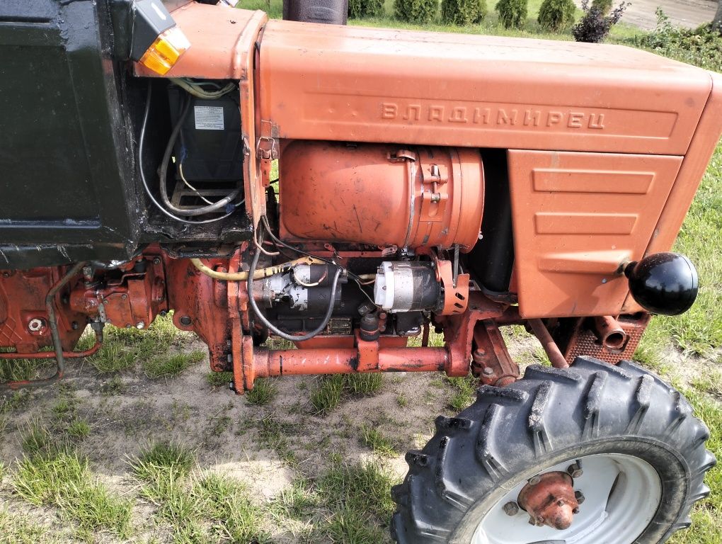 Sprzedam T25 władymirec