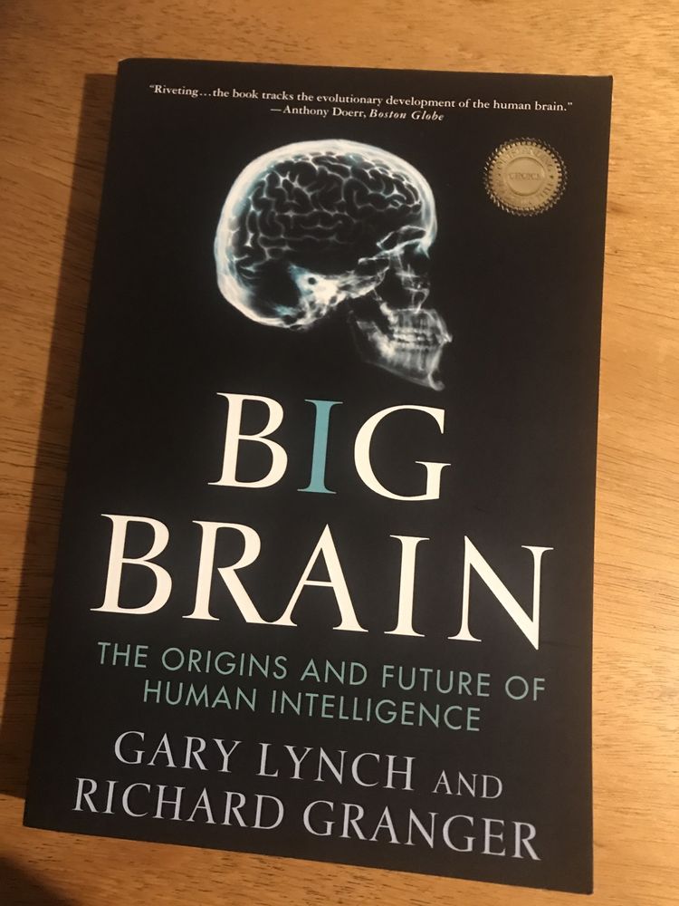 Livro “Big Brain”