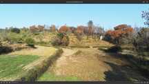 Quinta composta por terreno de cultivo e pinhal