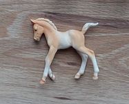 Konik Collecta-źrebak
