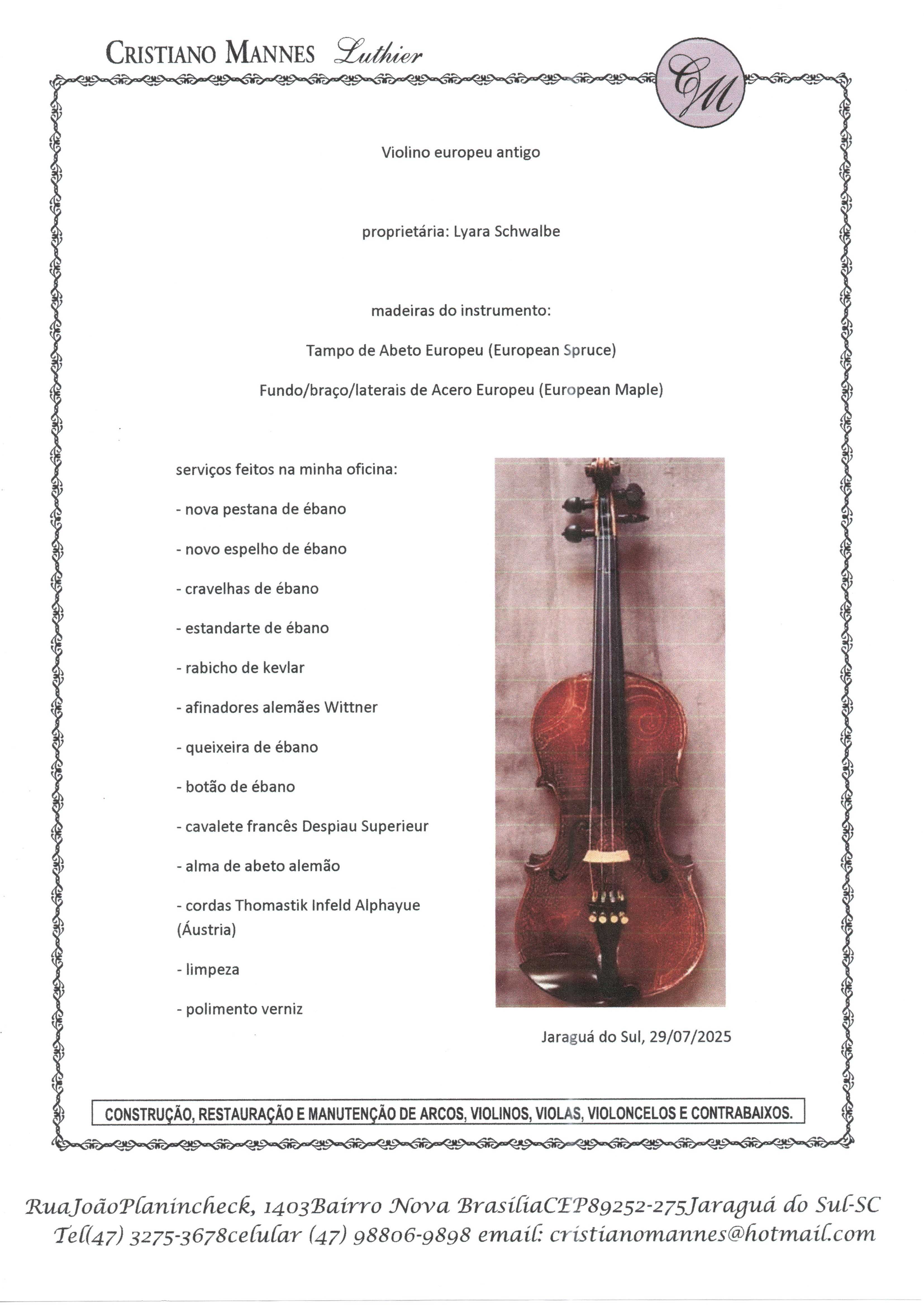 The "Soul of Lyara Schwalbe" Violin