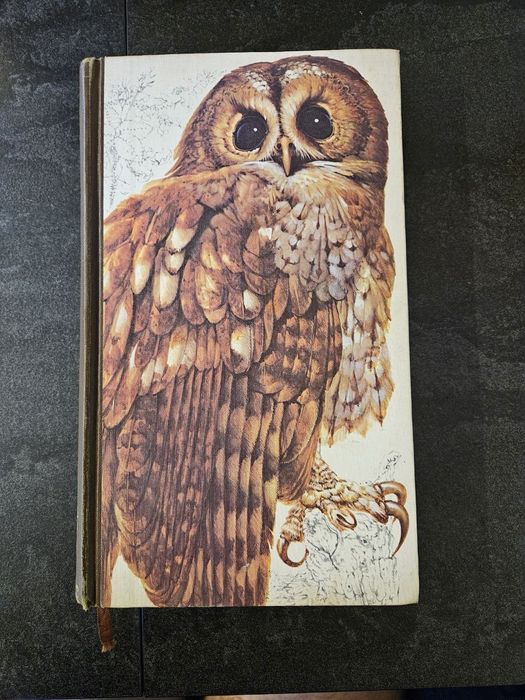 Книга Book of British Birds Reader's Digerst