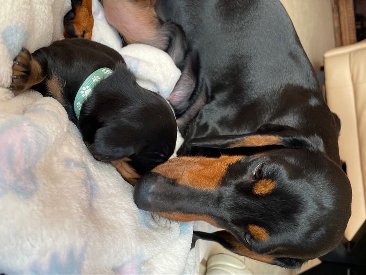 Чорні такси — вірні друзі на все життя