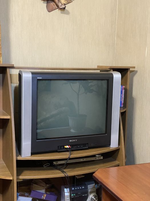 Телевізор - в робочому стані