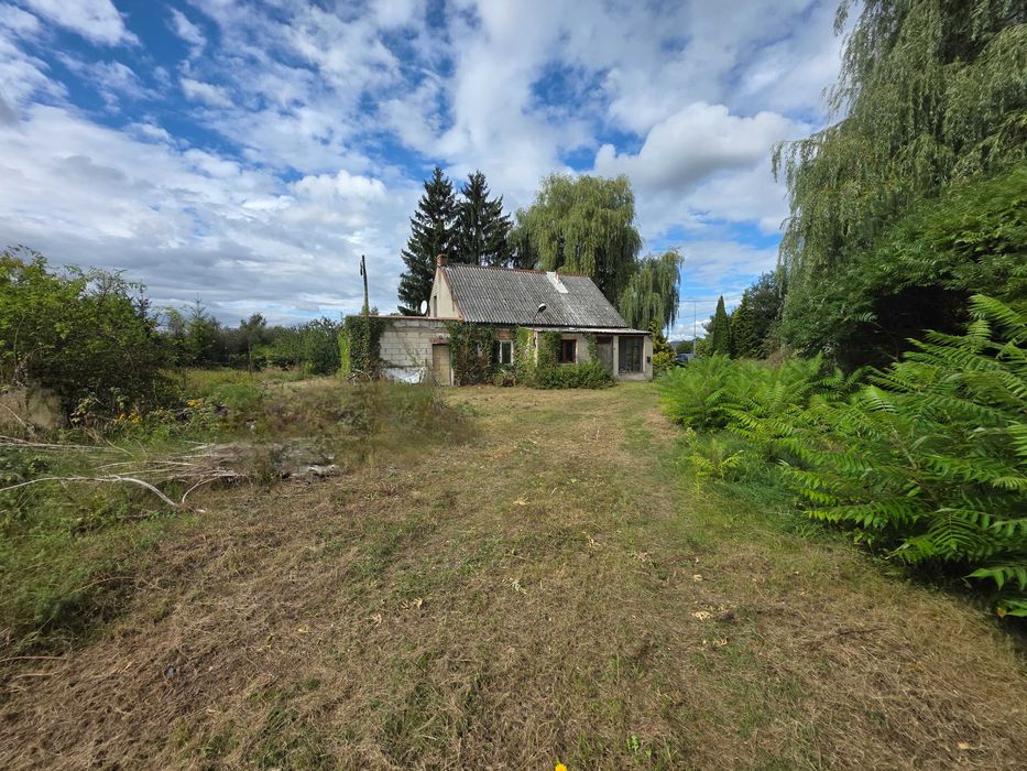 Na sprzedaż nieruchomość Świekatowo