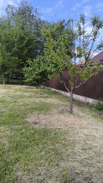 Будинок  р-н Миколаївка