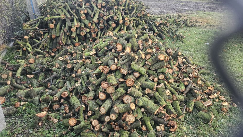 Sprzedam drewno opałowe twarde z wisni  idealna do wędzenia