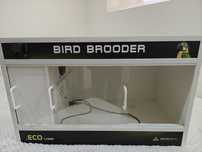 Maternidade bird brooder eco large