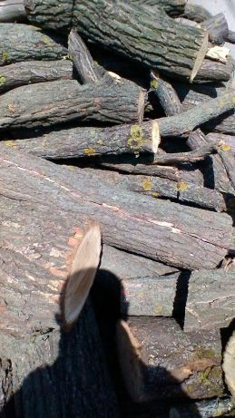 Дрова дубовые акацыя ясень 1500 гривен куб