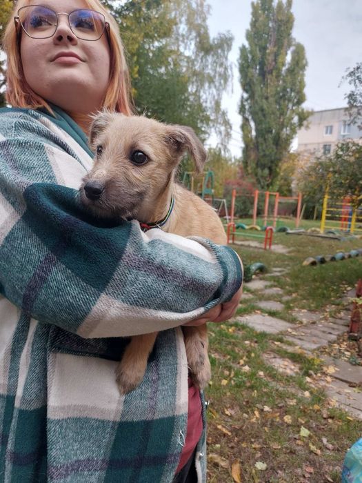 Майк в добрі ручки