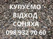 Відходи соняшнику закуповуємо