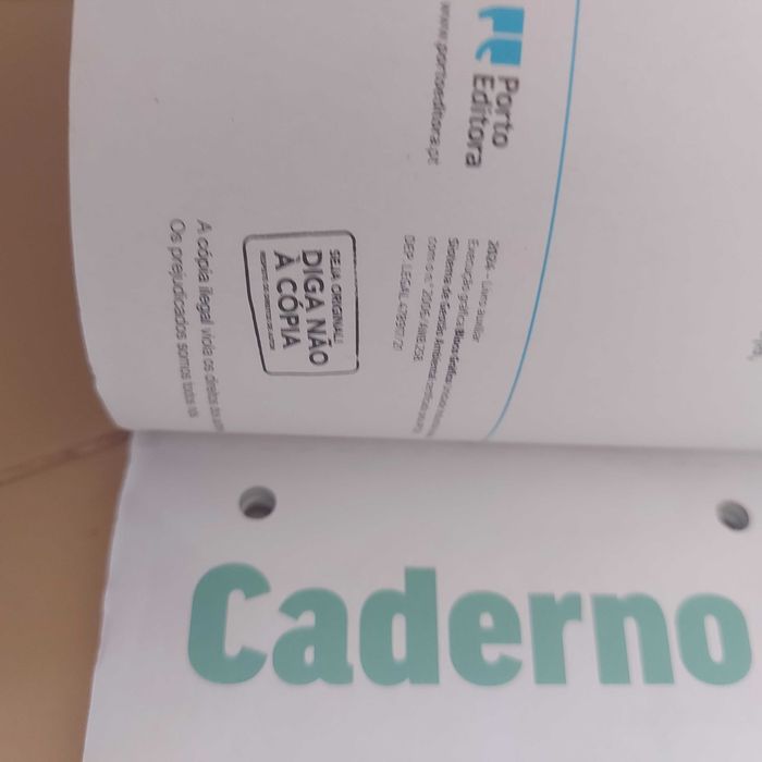 Livro caderno atividades aqui terra 7