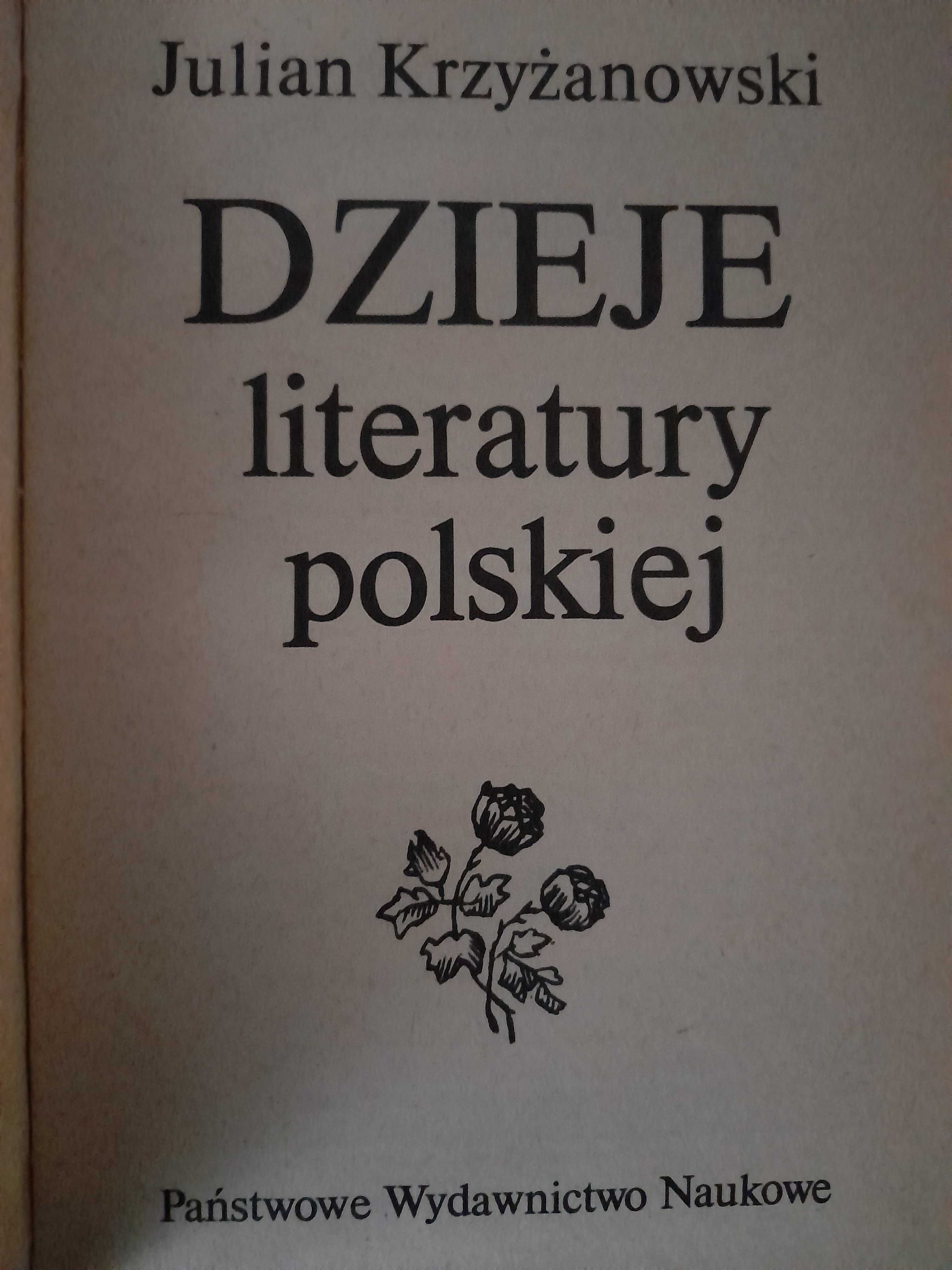 Zarys dziejów literatury polskiej J. Kleiner, W. Maciąg + gratis