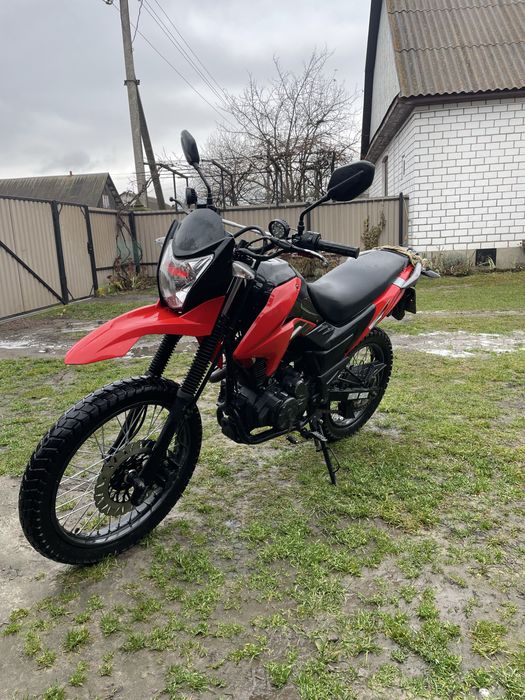 Лонкін прусс 200