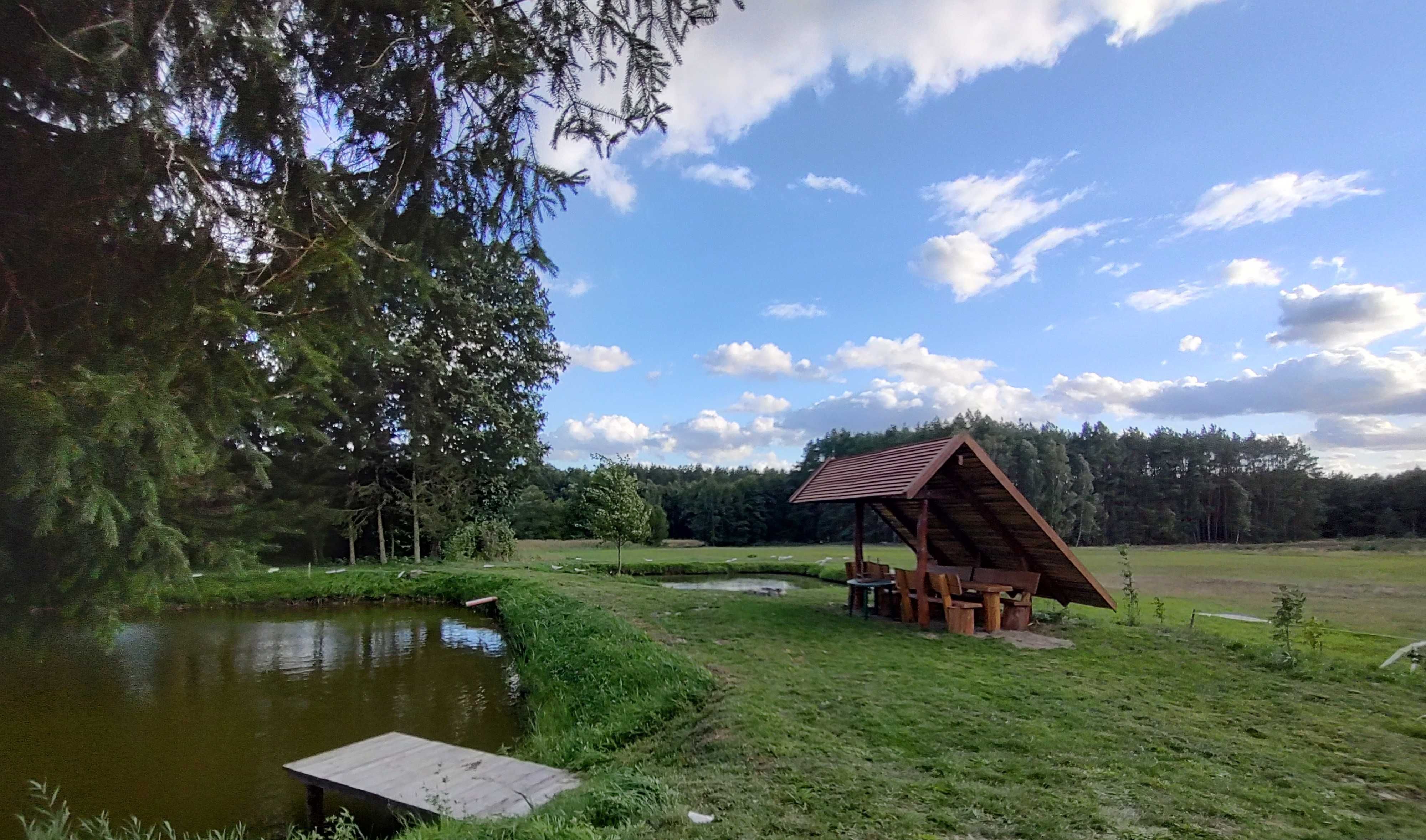 Agroturystyka Wiktorówka Chojno-Młyn