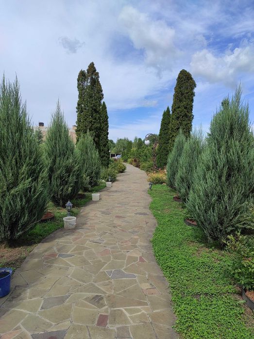 Продажа будинку на ділянці 1,5 га в Новосілках, озеро, Вишгородский