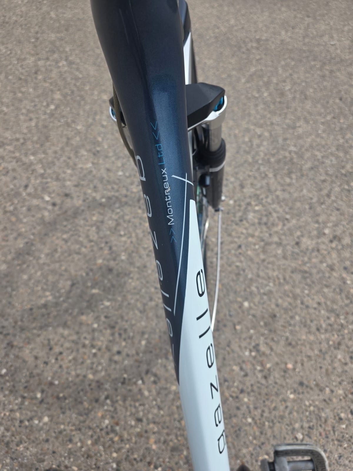 rower Gazelle Montreux Limited damka