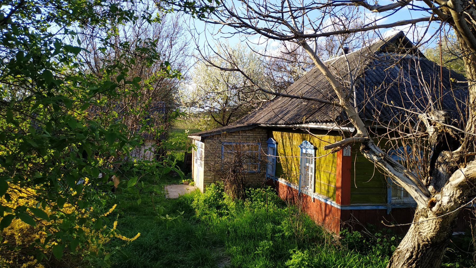 Дом с большим участком с. Новоселки, 28 км от Киева