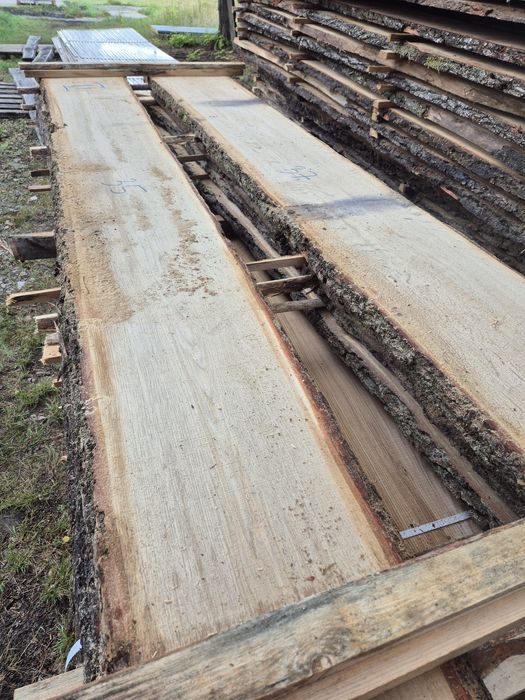 Tarcica dębowa po  suszarni próżniowej.