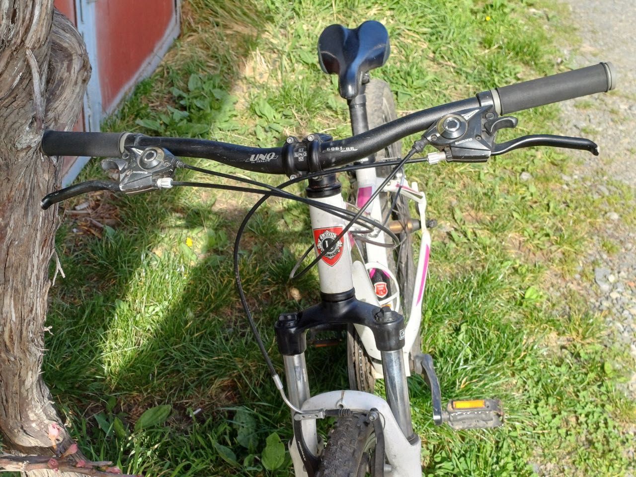 Велосипед підлітковий жіночий 26 колеса; від фірми Leon Veliki