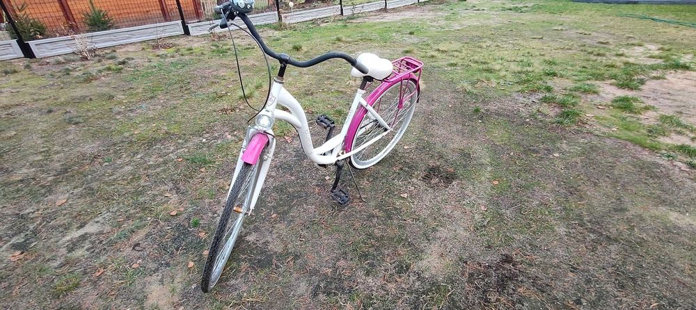 Rower damski blueberry