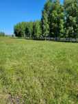 Działka rolna 300 m2.