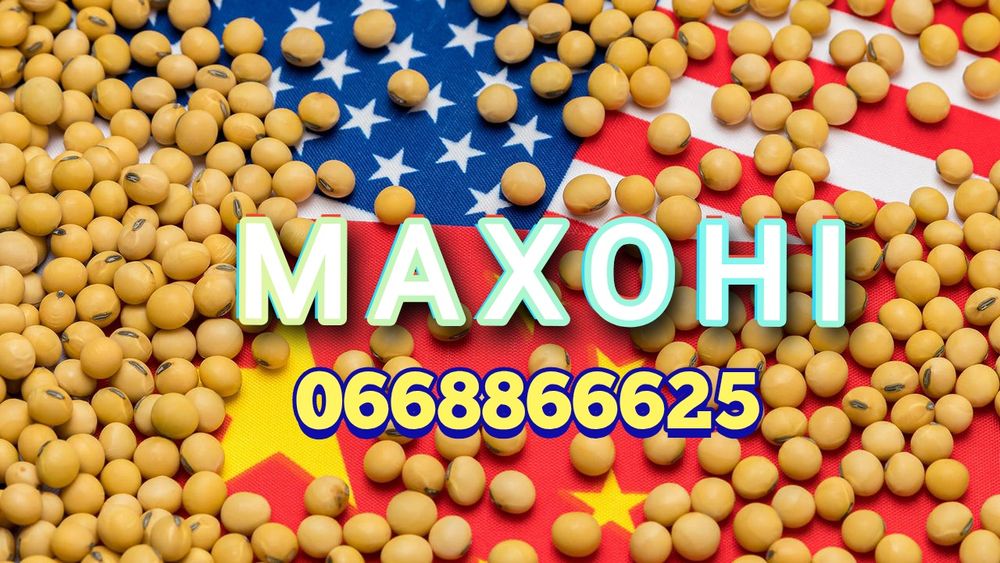 Купити насіння сої Махоні