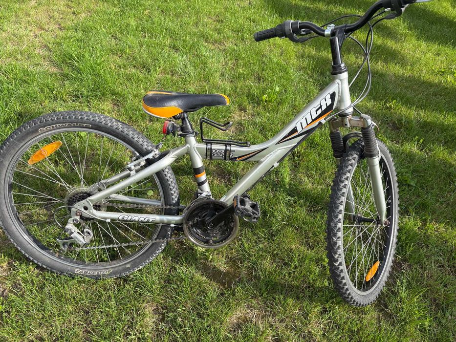 Rower chłopięcy 20" GIANT