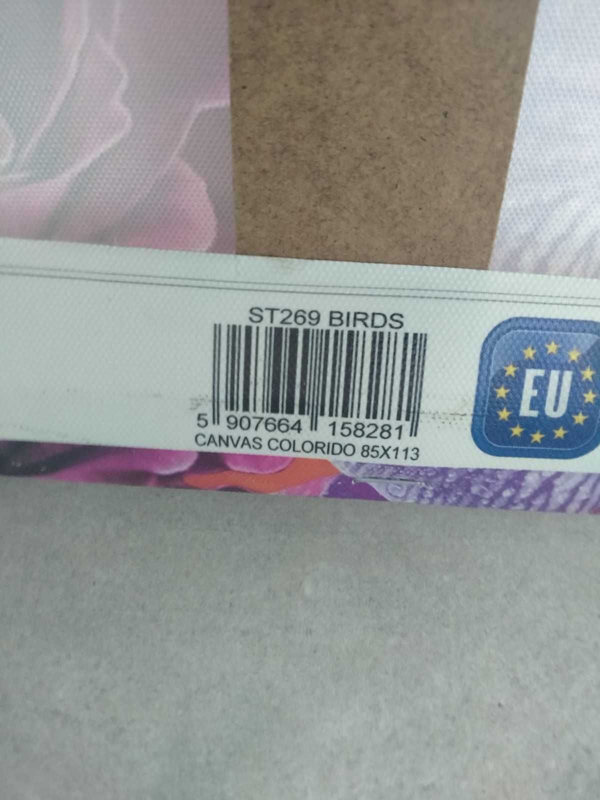 Obraz duży ptaki kolorowy 85x113 płótno