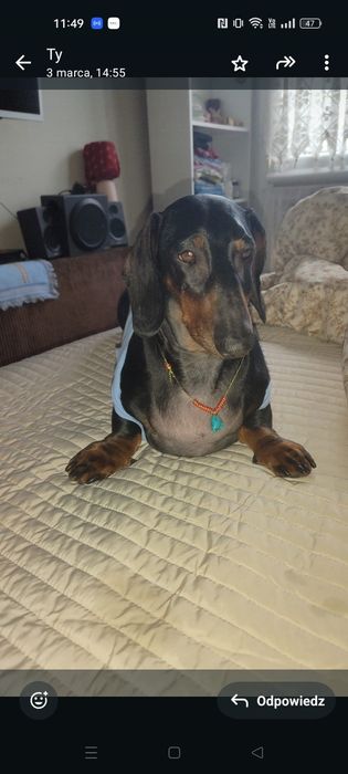 Narzuta na łóżko gruba 2,85 na 2,75 bardzo duża niemiecka qualitet