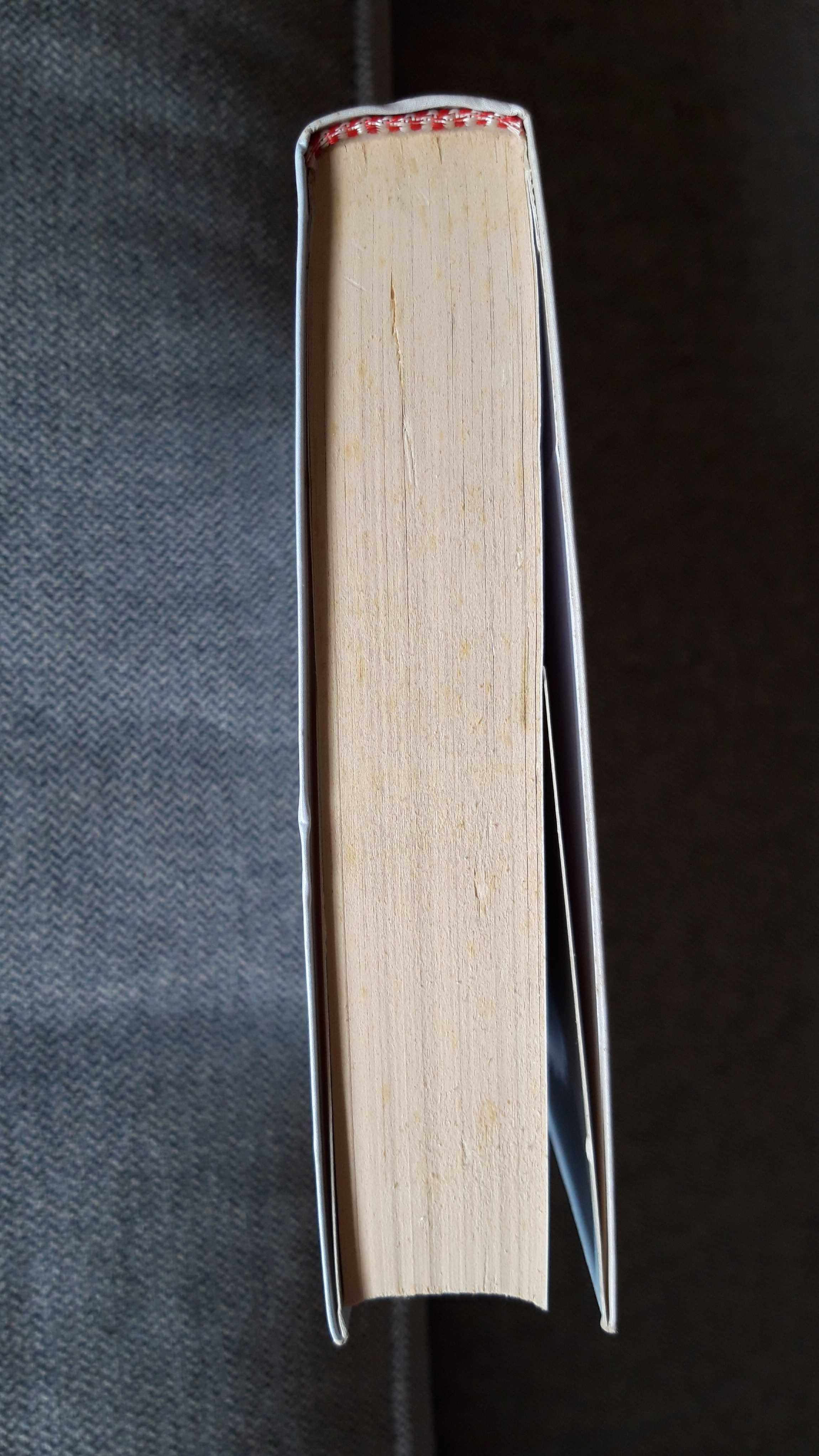 Livro "L'épopée du buveur d'eau" de John Irving