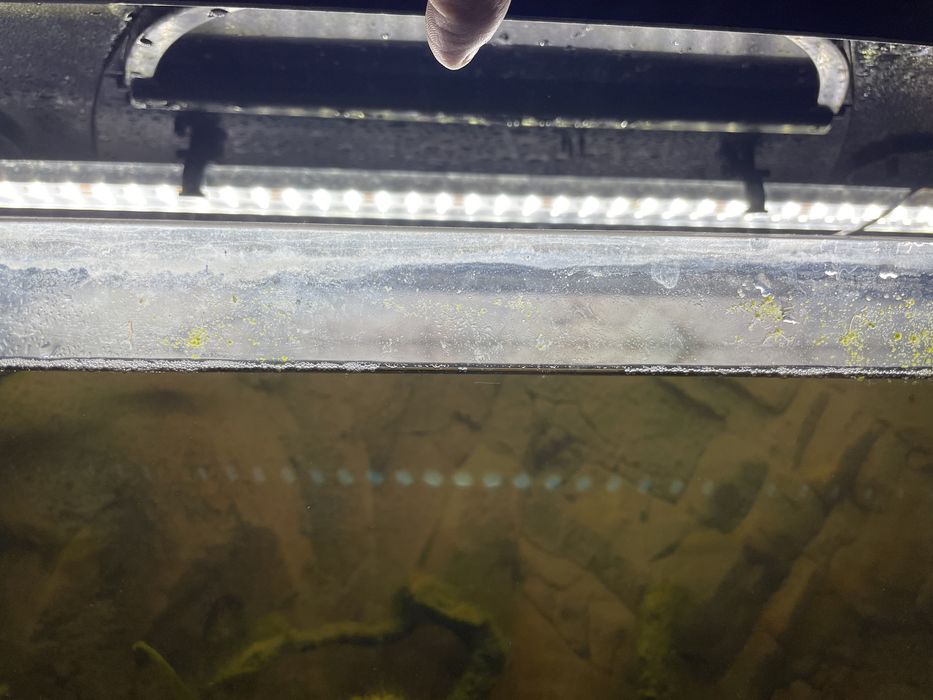 Akwarium 100l pełne wyposażenie fitry grzałki oswietlenie led tło 3d