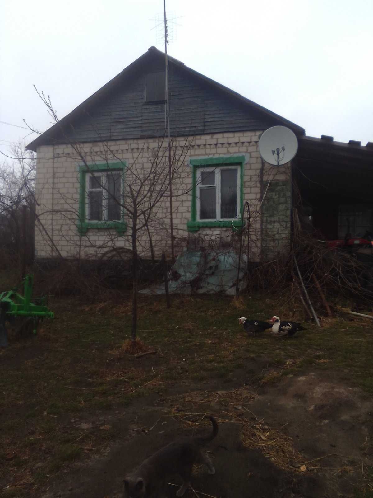 № 13452 - Будинок, Передмістя, село Головенкі , 1-пов., піноблок/цегла