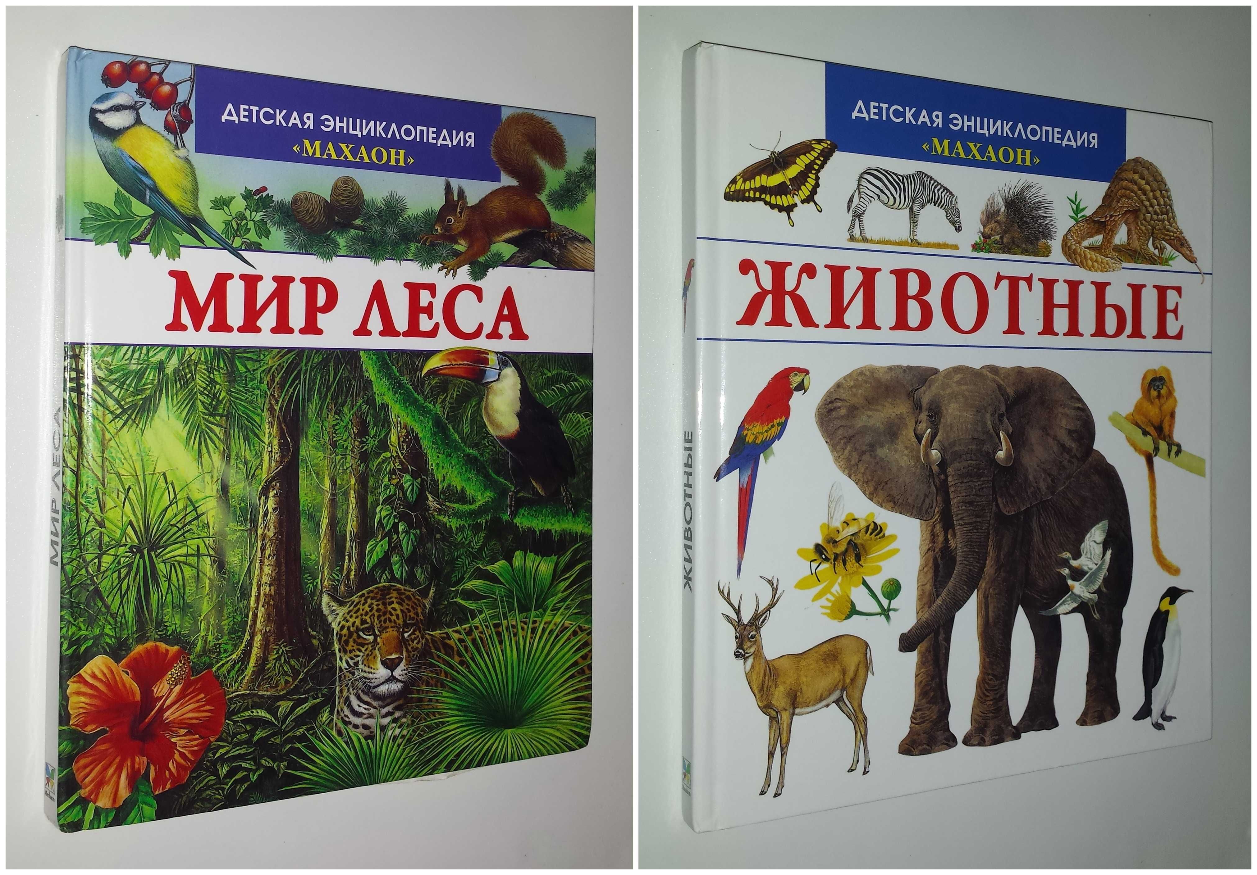 Детские книги Энциклопедии Мир леса енциклопедія Животные Махаон