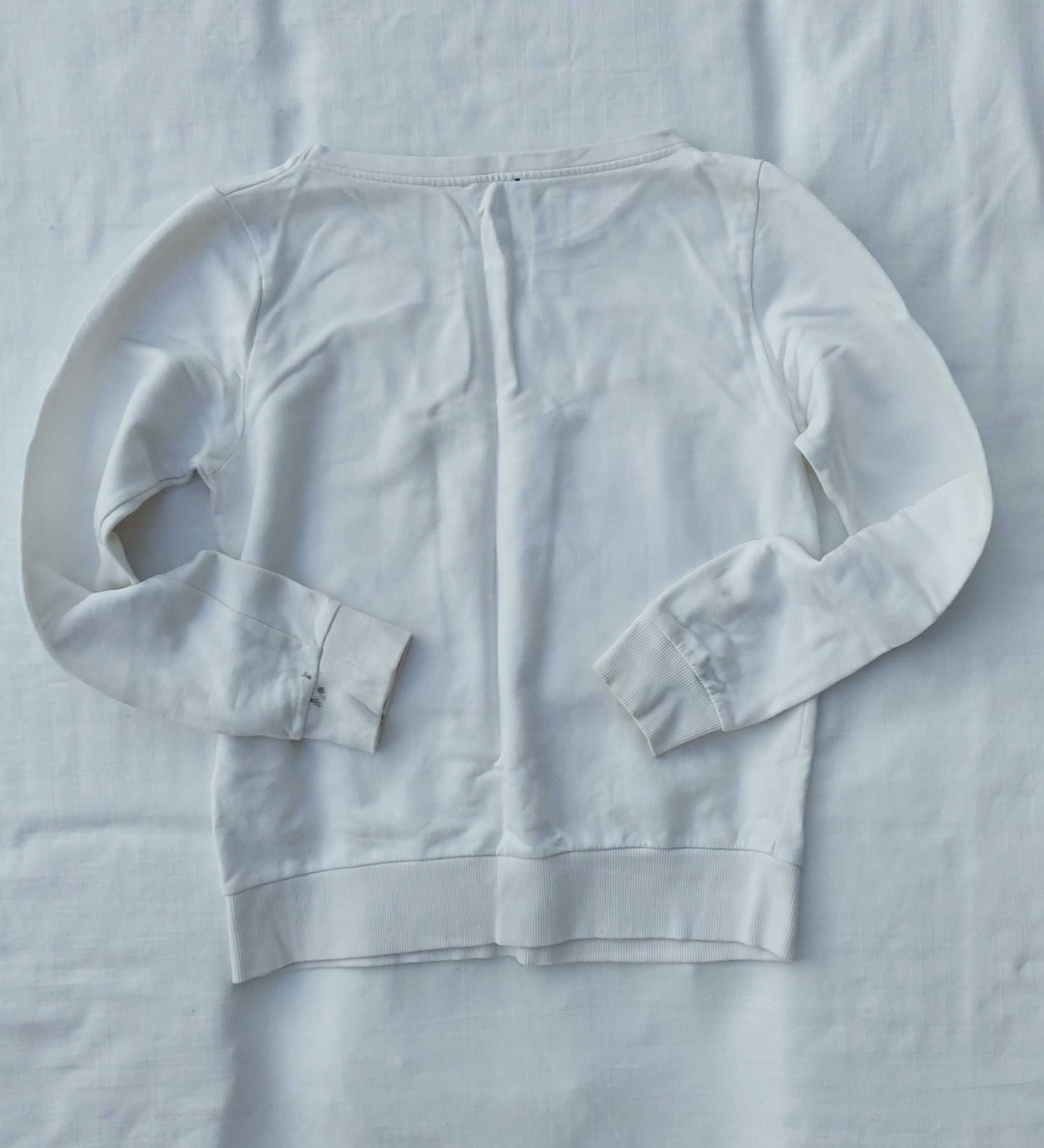 Bluza z koniem obraz Whistlejacket Stubbs dla jeźdźca do stajni