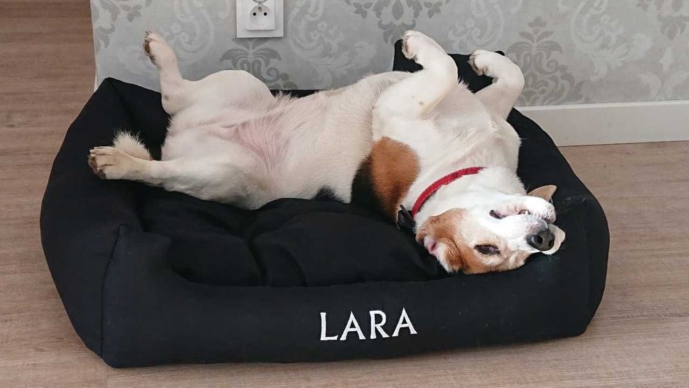 Komfortowe legowisko dla psa wiele rozmiarów + GRATIS poduszka