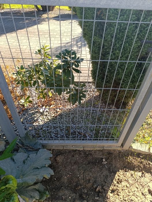 Bramka ocynkowana ze słupkami