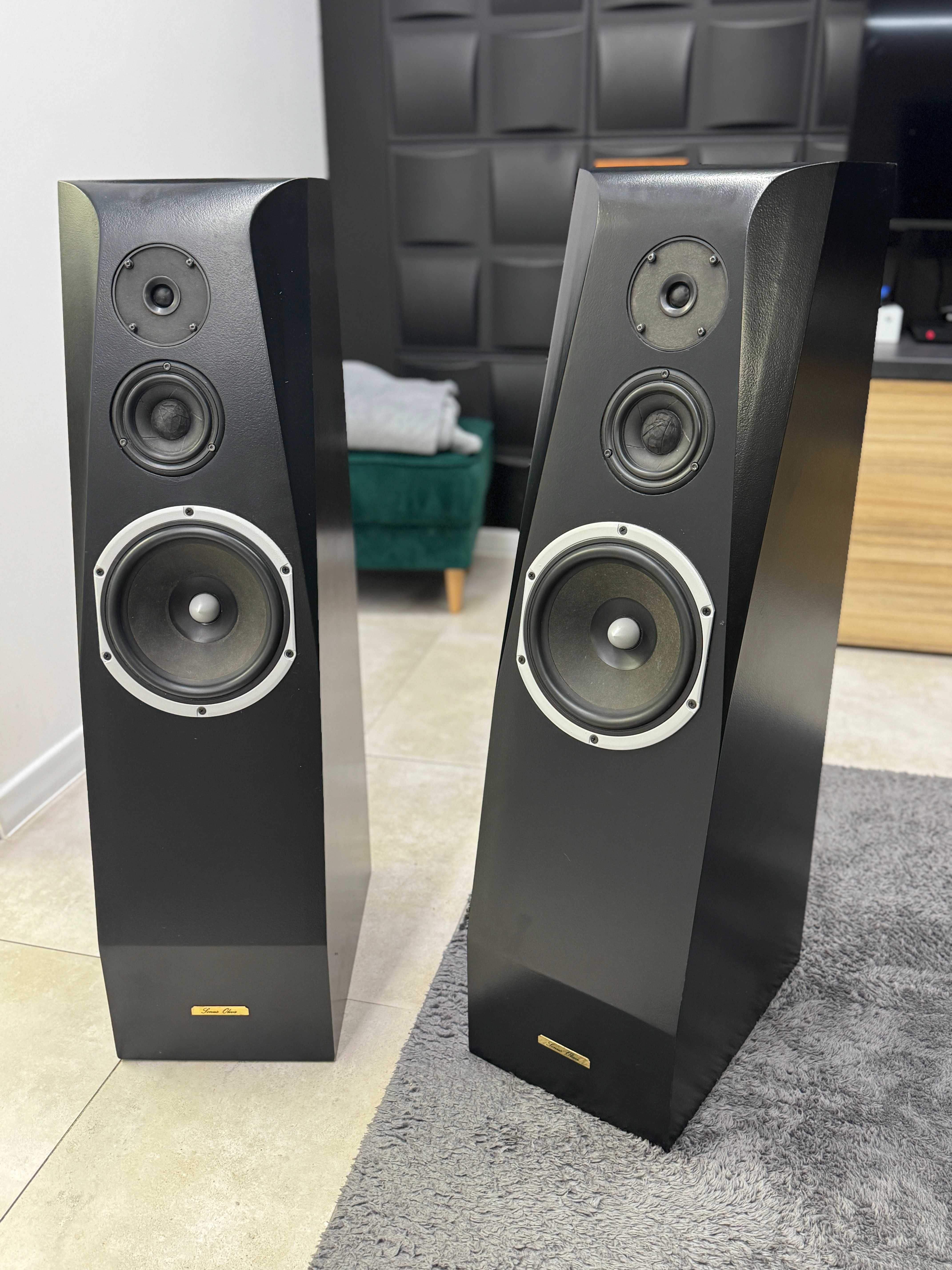 kolumny stereo sonus oliva,Scan Speak,peerless