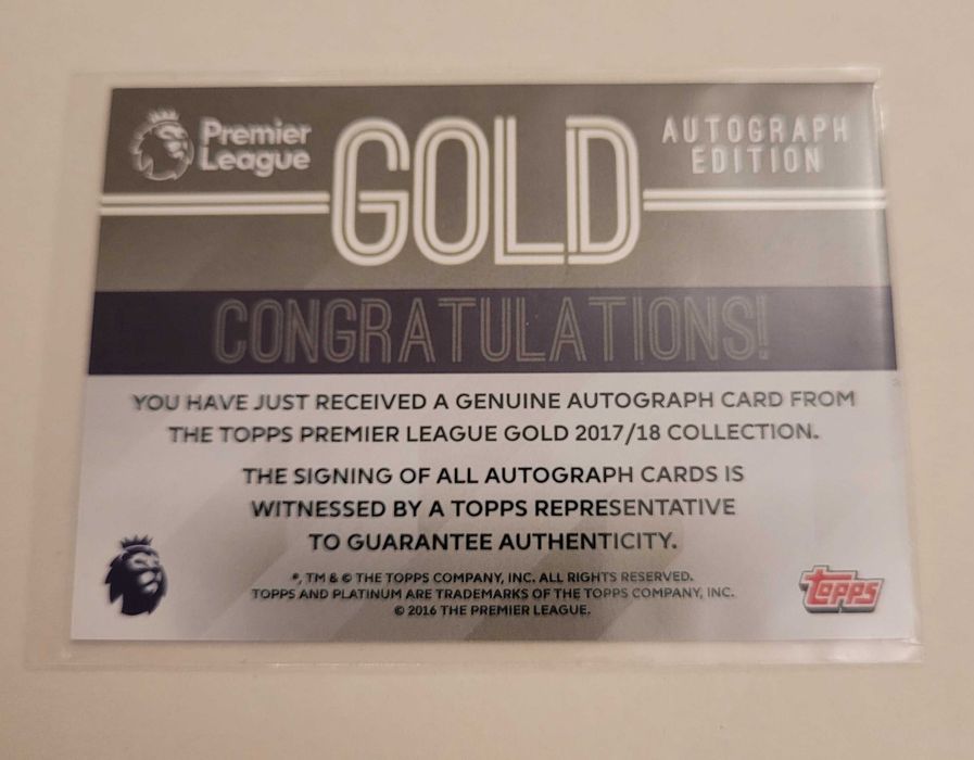 Steve Sidwell 2017-18 Topps Premier League Gold Auto