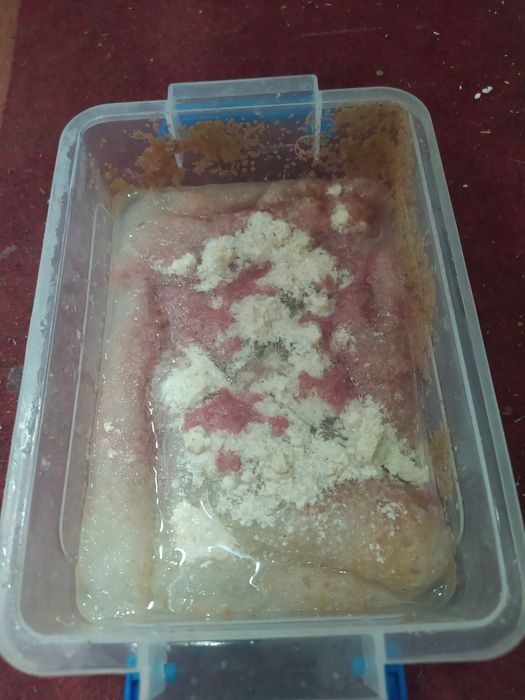 Трубочнік Ізя, запущений контейнер.