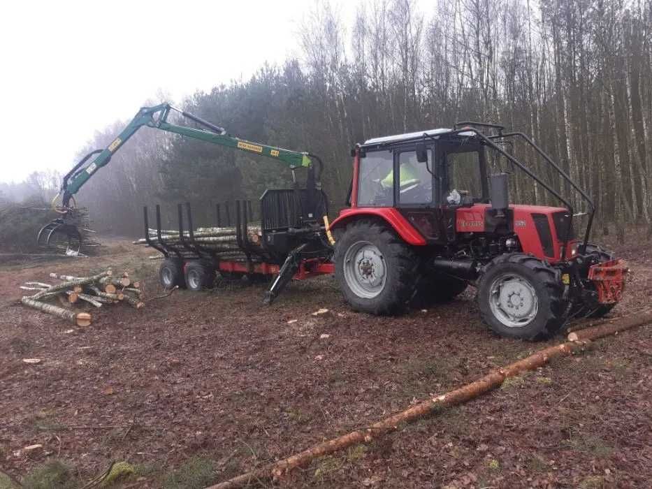 Wycinka drzew lasu wycinanie skup drewna rębak mulczer rekultywacja