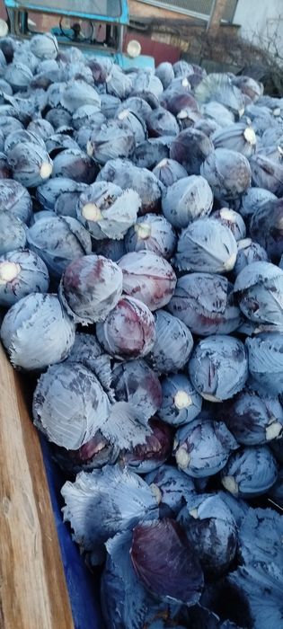 Синя капуста гарна з таким воском по собі дуже гарна ціна хороша звоні