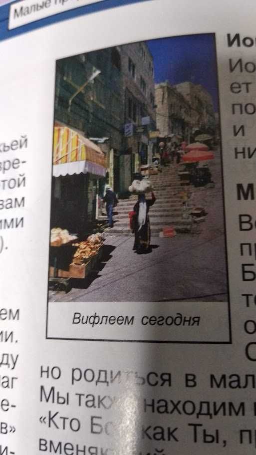 Проводник по Библии. Кэрин Маккензи