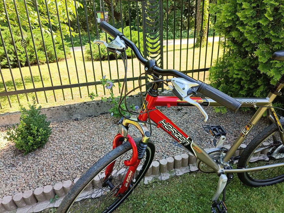 Rower cross HORIZON Proxy L 21 cali (nie Kross Evado Orkan górski MTB