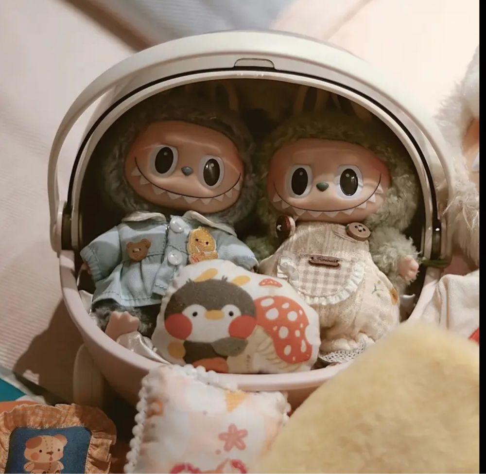Контейнер/переноска для лабубу